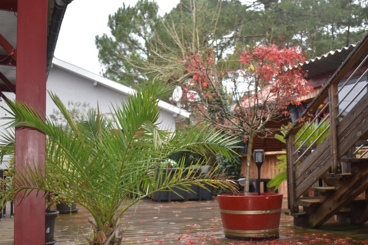 Chez Augustin Bed & Breakfast Lacanau Dış mekan fotoğraf
